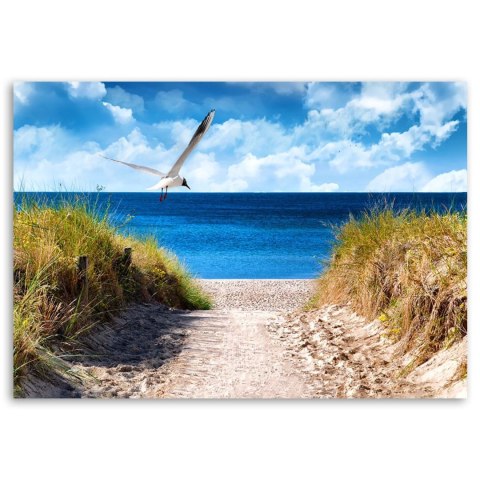 Obraz na płótnie, Ścieżka na plażę i mewa - 120x80