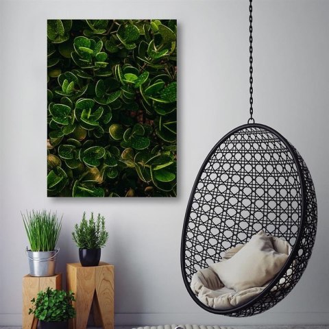 Obraz na płótnie, Zielone liście egzotycznych roślin - 60x90