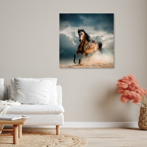 Obraz, Galop konia - 50x50