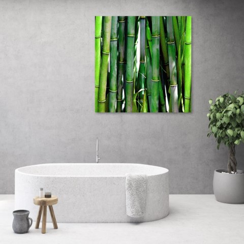 Obraz na płótnie, Zielone bambusy - 50x50