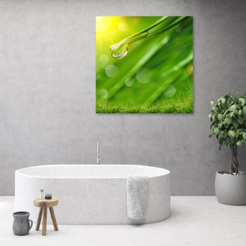 Obraz, Rosa na trawie - 50x50