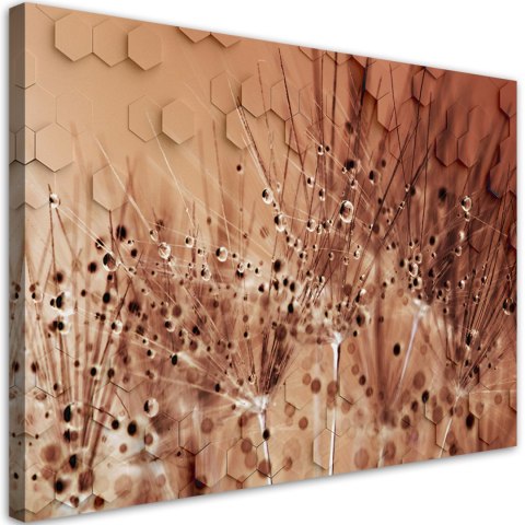 Obraz na płótnie, Dmuchawce w kroplach rosy - 100x70
