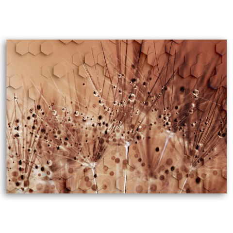 Obraz na płótnie, Dmuchawce w kroplach rosy - 60x40