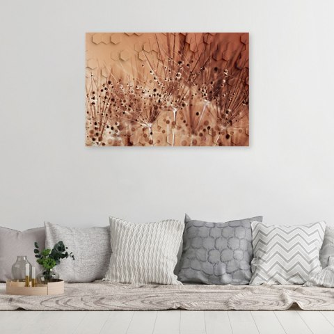 Obraz na płótnie, Dmuchawce w kroplach rosy - 90x60