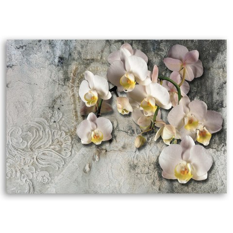 Obraz na płótnie, Słoneczne orchidee kwiaty - 90x60