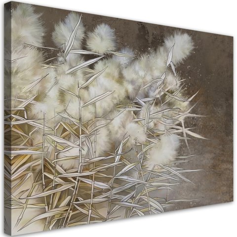 Obraz na płótnie, Trzcina trawa boho - 60x40