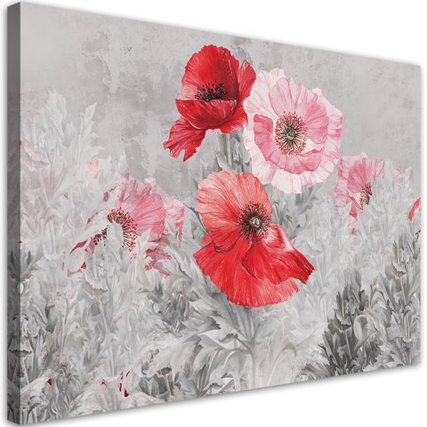 Obraz na płótnie, Czerwone maki na szarej łące - 90x60