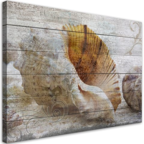 Obraz, Muszle w stylu vintage - 100x70