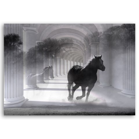 Obraz na płótnie, Biegnący koń 3D - 90x60