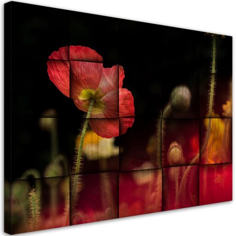 Obraz na płótnie, Czerwony kwiat maku - 90x60