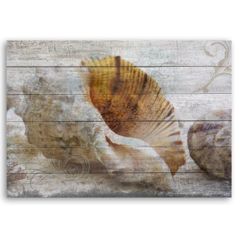 Obraz na płótnie, Muszle w stylu vintage - 60x40