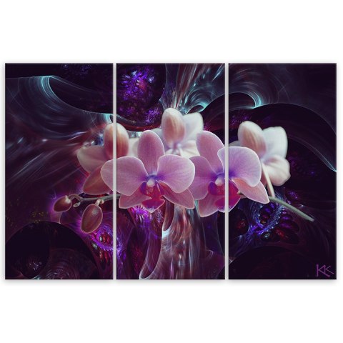 Obraz 3 częściowy na płótnie, Biała orchidea na ciemnym tle - 150x100