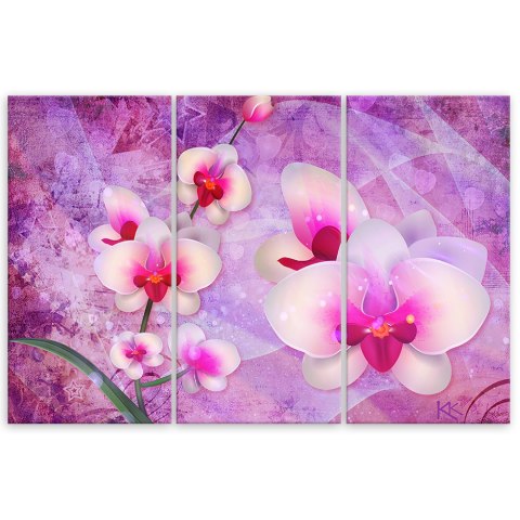 Obraz 3 częściowy na płótnie, Orchidea Kwiaty Abstrakcja - 150x100