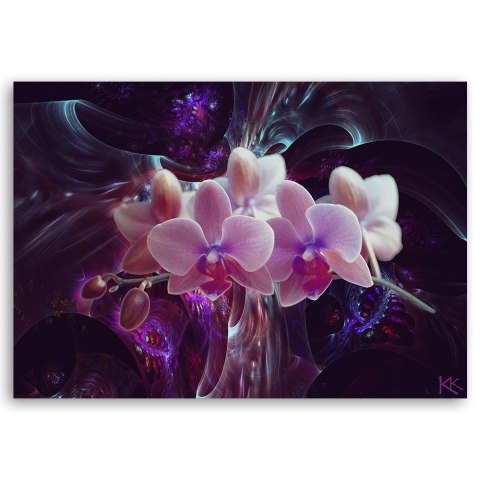 Obraz na płótnie, Biała orchidea na ciemnym tle - 90x60