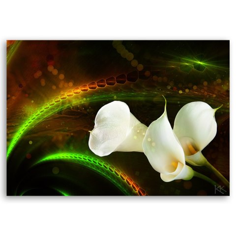 Obraz na płótnie, White flower on brown background - 60x40