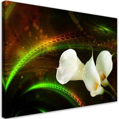 Obraz na płótnie, White flower on brown background - 90x60
