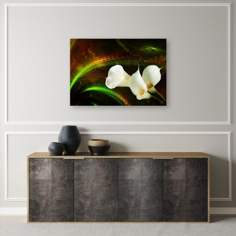 Obraz na płótnie, White flower on brown background - 90x60