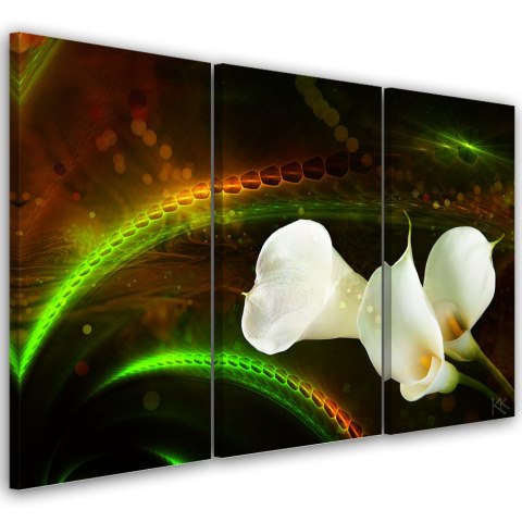 Obraz tryptyk na płótnie, White flower on brown background - 60x40