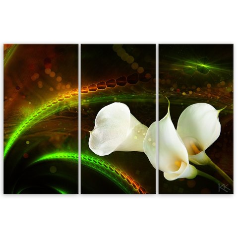 Obraz tryptyk na płótnie, White flower on brown background - 90x60