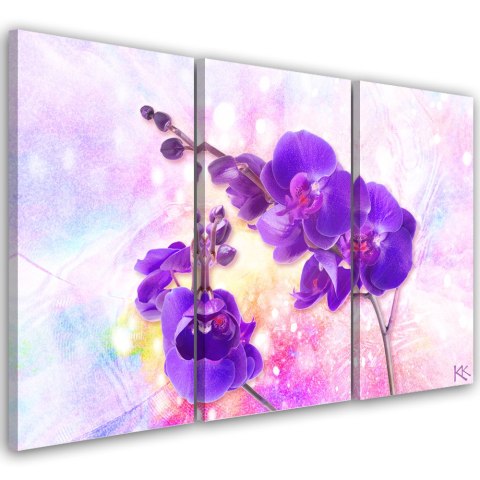 Obraz trzyczęściowy na płótnie, Fioletowy kwiat orchidei - 90x60