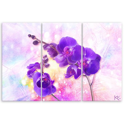 Obraz trzyczęściowy na płótnie, Fioletowy kwiat orchidei - 90x60