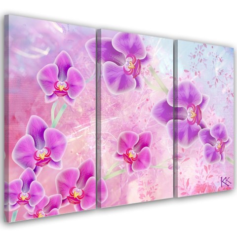 Obraz trzyczęściowy na płótnie, Orchidea Kwiaty Abstrakcja - 150x100