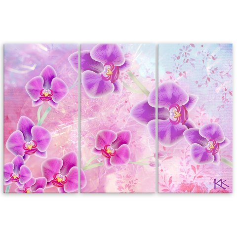 Obraz trzyczęściowy na płótnie, Orchidea Kwiaty Abstrakcja - 90x60