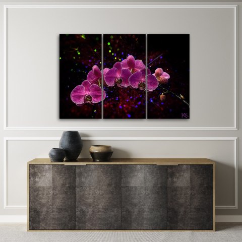 Obraz trzyczęściowy na płótnie, Orchidea na ciemnym tle - 60x40