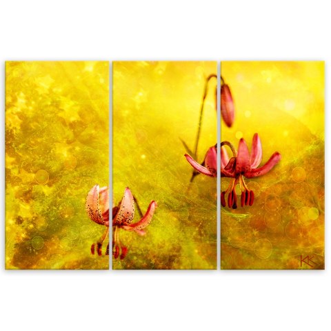 Obraz trzyczęściowy na płótnie, Zwiędłe tulipany kwiaty - 120x80