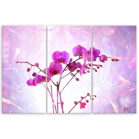 Obraz tryptyk na płótnie, Eteryczna orchidea - 90x60