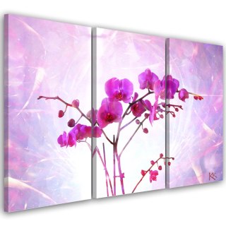 Obraz trzyczęściowy na płótnie, Eteryczna orchidea - 60x40
