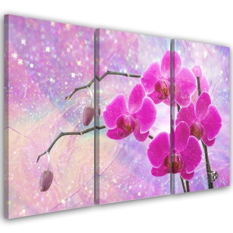 Obraz trzyczęściowy na płótnie, Eteryczna orchidea abstrakcja - 120x80