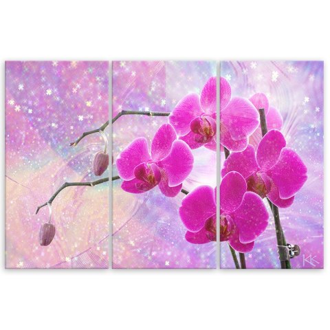 Obraz trzyczęściowy na płótnie, Eteryczna orchidea abstrakcja - 120x80