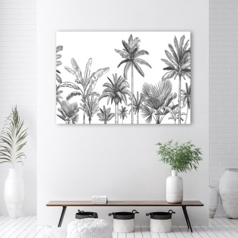 Obraz, Czarno białe palmy - 120x80