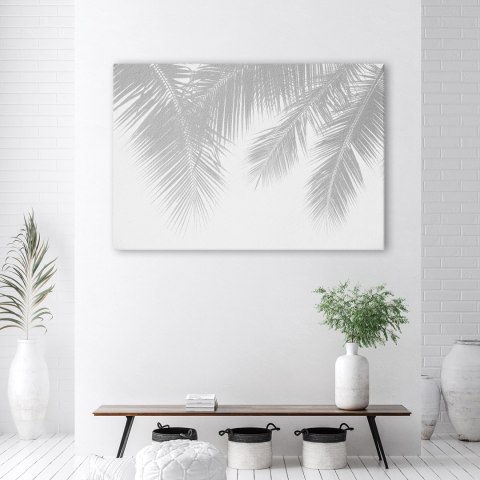 Obraz na płótnie, Szare liście palmy - 90x60