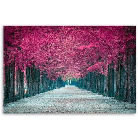 Obraz na płótnie, Aleja różowych drzew - 60x40