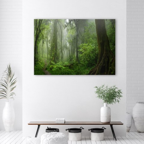 Obraz na płótnie, Tropikalny las dżungla - 60x40