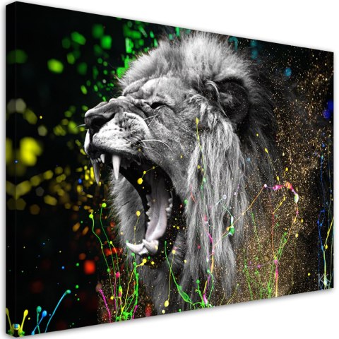 Obraz, Lew zwierze natura - 60x40