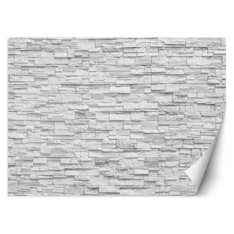 Fototapeta, Mur z białych kamieni - 400x280