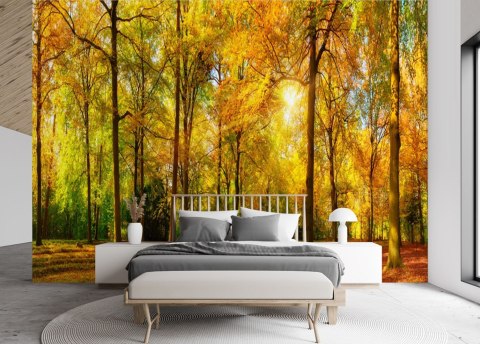 Fototapeta, Jesienny las - 200x140