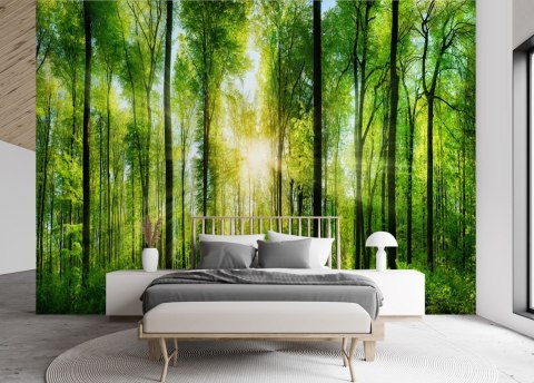 Fototapeta, Promienie słońca w zielonym lesie - 150x105