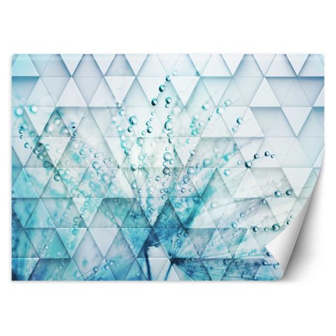 Fototapeta, Turkusowy dmuchawiec w kroplach rosy - 300x210