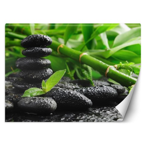 Fototapeta, Bambus kamienie zen - 250x175