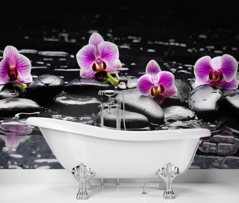 Fototapeta, Kamienie zen orchidea - 150x105