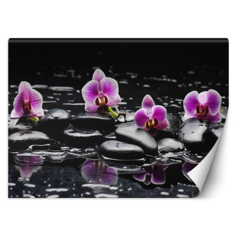 Fototapeta, Kamienie zen orchidea - 300x210