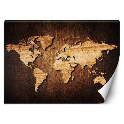 Fototapeta, Mapa świata - 300x210