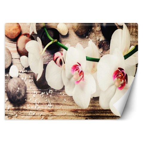 Fototapeta, Orchidea zen feng shui - 400x280