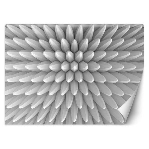 Fototapeta, Abstrakcja kolce tekstura 3D - 300x210