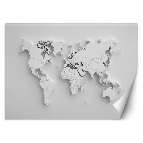 Fototapeta, Biała mapa świata 3D - 200x140
