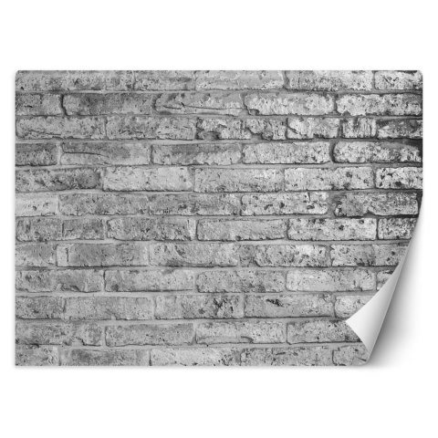 Fototapeta, Mur z szarych cegieł - 300x210